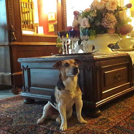 B&B Silvana Travedona Εξωτερικό φωτογραφία