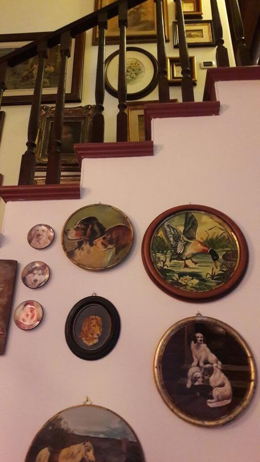 B&B Silvana Travedona Εξωτερικό φωτογραφία