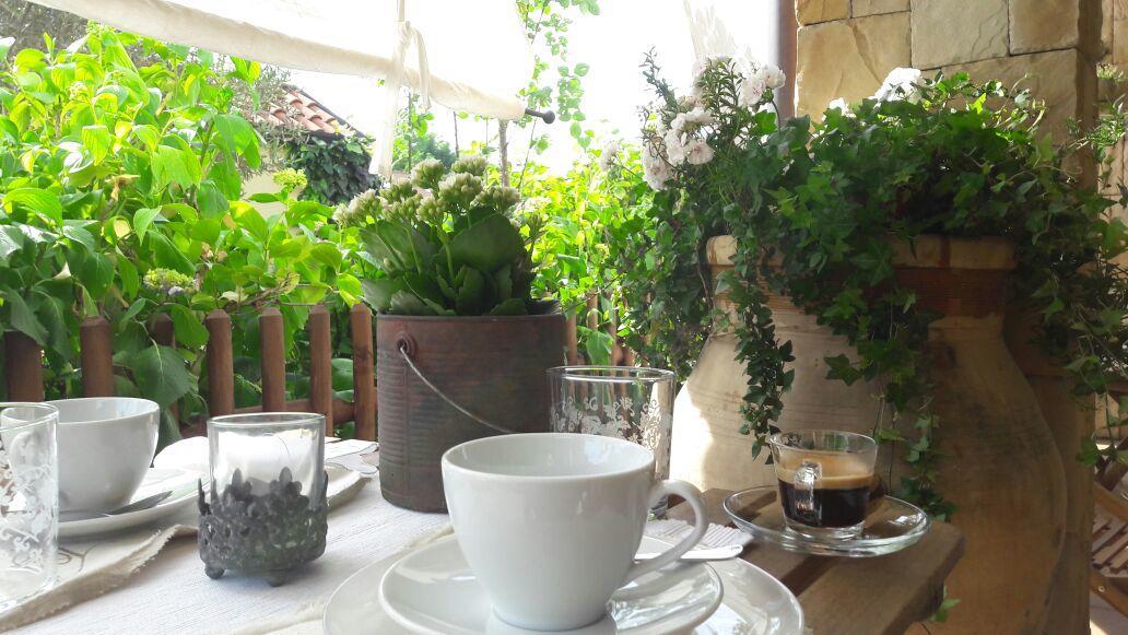 B&B Silvana Travedona Εξωτερικό φωτογραφία
