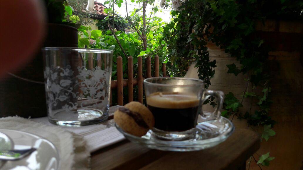 B&B Silvana Travedona Εξωτερικό φωτογραφία