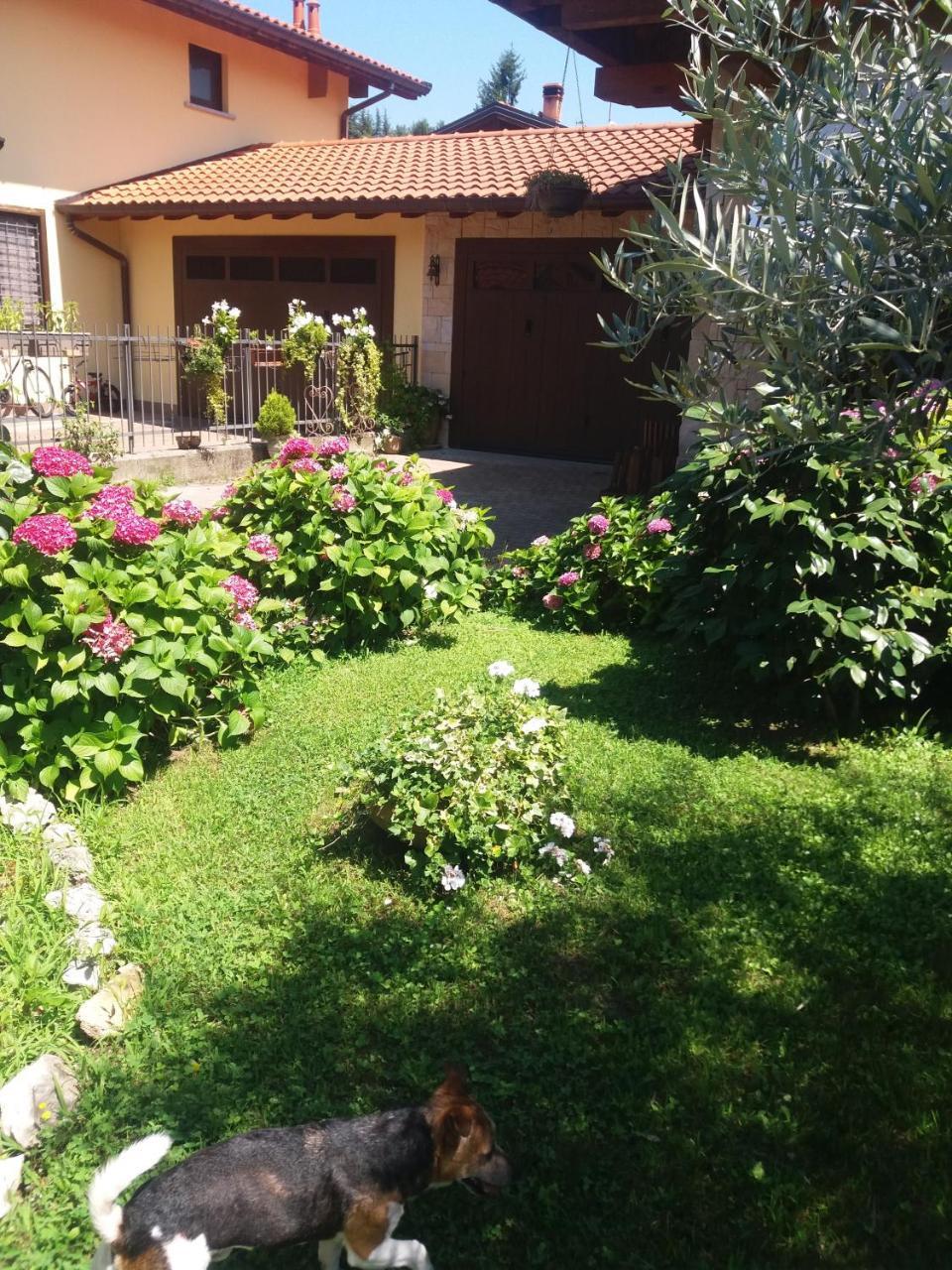 B&B Silvana Travedona Εξωτερικό φωτογραφία